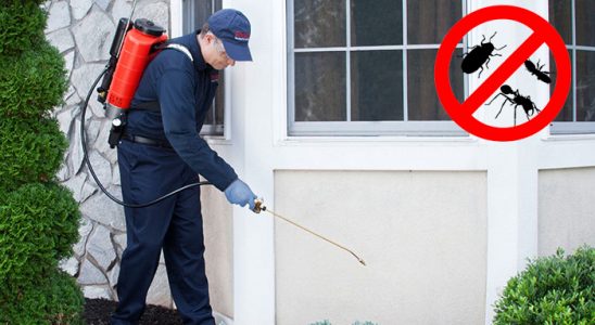 Nazımiye Fare İlaçlama böcek ilaçlama ve haşere kontrolü — ilaclama-tr.com